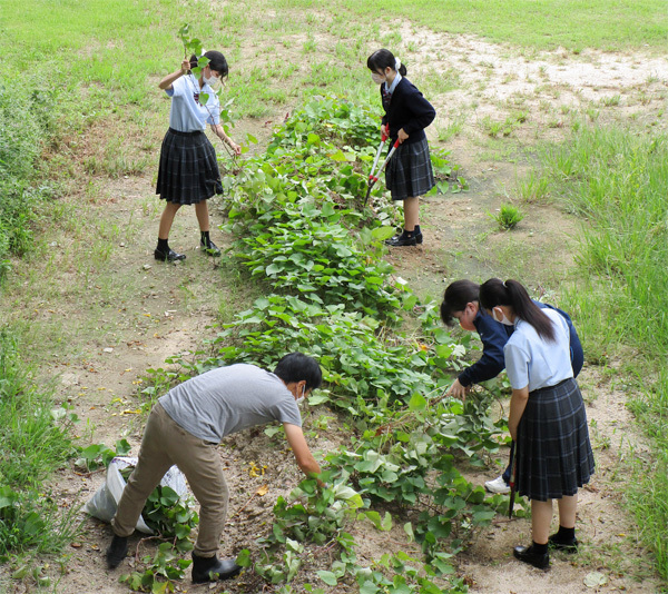 山陽女学園高等部通信制課程リアライズコース