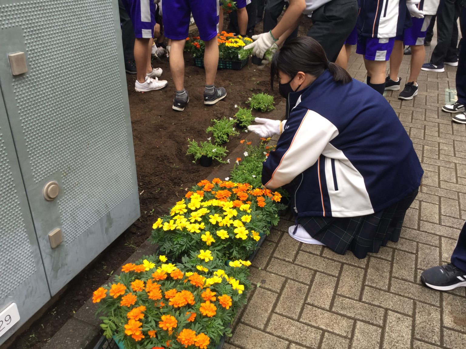 日々輝学園高等学校