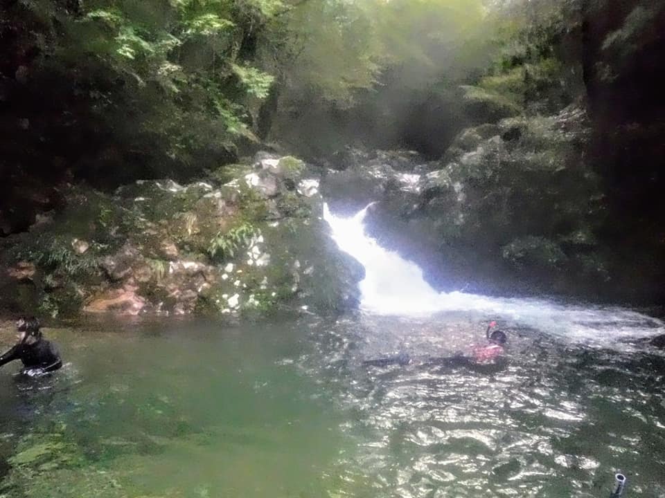 黄柳野（つげの）高校