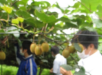 日々輝学園高等学校