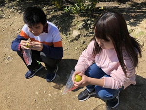 東朋高等専修学校（大阪府天王寺区）