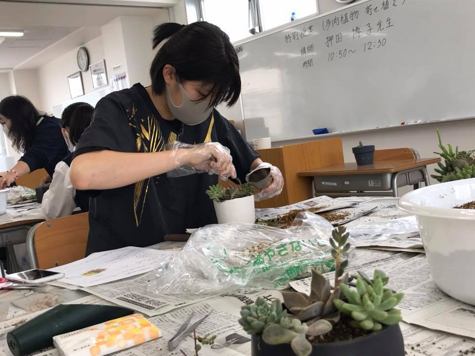 ファッション科で多肉植物を作る特別授業（千葉県・高等専修学校） 通信制高校があるじゃん!