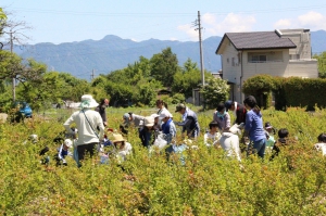 新しい学校の会