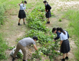 山陽女学園高等部通信制課程リアライズコース