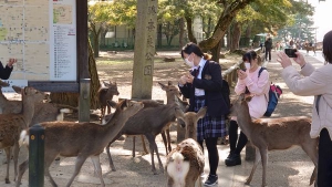 東朋学園高校