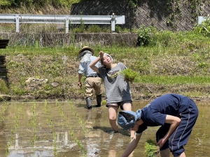 ルネサンス高等学校